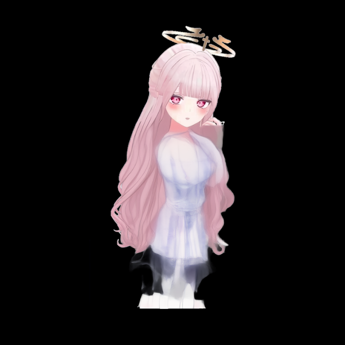 VRChat Avatar Digital Asset