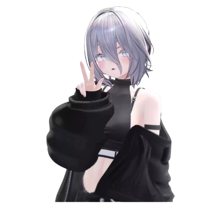 VRChat Avatar Digital Asset