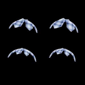 VRChat Avatar Digital Asset