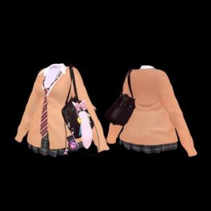 VRChat Avatar Digital Asset